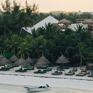 Casa Tortugas Petit & ホルボックス島